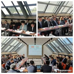 絲路新篇章 甘肅民間組織赴國(guó)外開(kāi)展民生合作與中俄文化交流